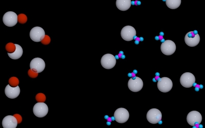 Chemistry of Development